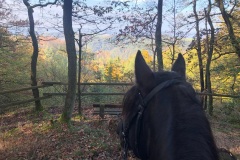 Traumhafte Aussicht in das Siebengebirge