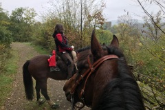 Tagesritt zur Neuerburg